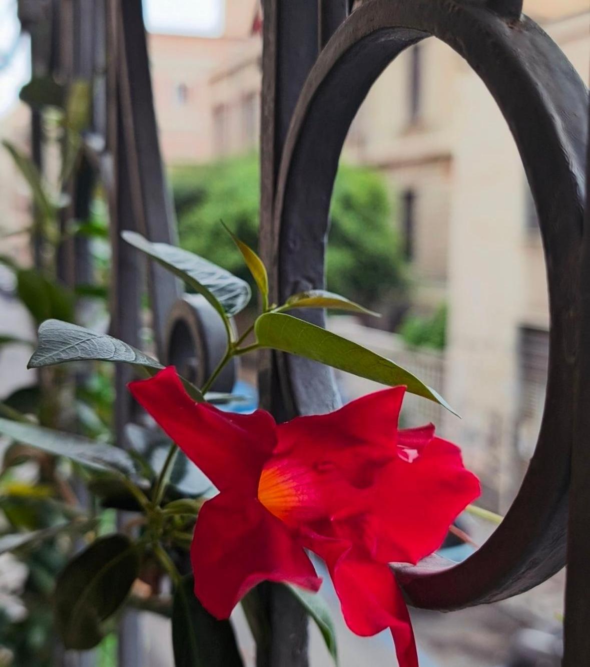 Art Palace Apartment City Center Catania Exterior photo